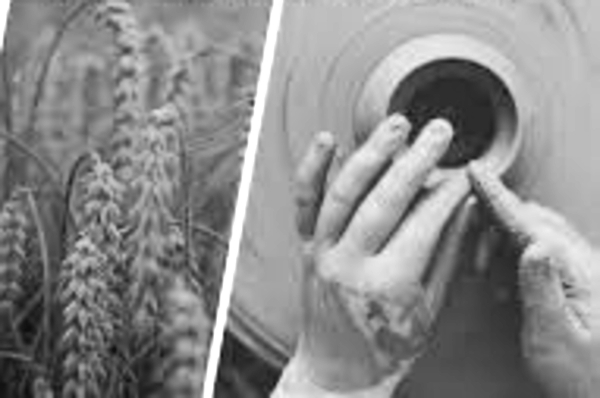 BYST, Andhra Pradesh govt launch rural entrepreneurship outreach in Palnadu