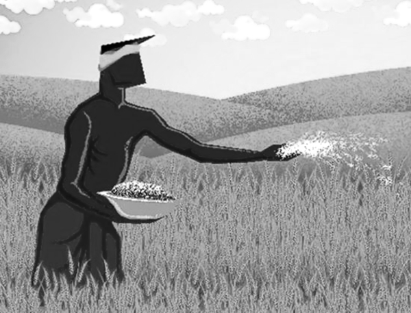 Explainer | Why fertiliser use is being reduced — and what it means for farmers