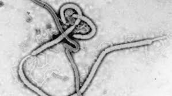 ebola-disease-explained-symptoms-prevention